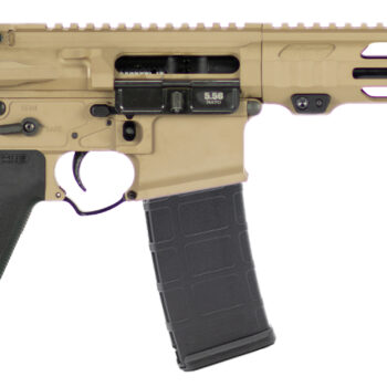 APF 5.56 PISTOL 2.0 10.5 FDE MLOK