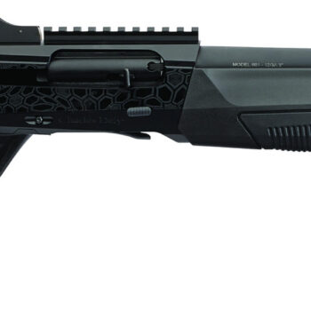 CDLY 601 SPORT 12GA 20 SEMI AUTO BLK SYN 6RD