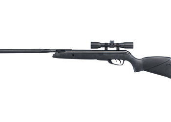 GAMO WILDCAT WHSPR .22 W/4X32