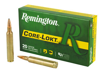 REM 300RUM 180GR CL 20/200