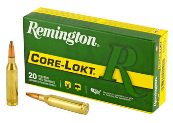 REM 243WIN 100GR PSP CL 20/200