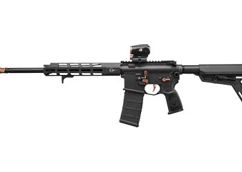 SIG M400 ROSE 556 16" 30RD ROMEO5 RG