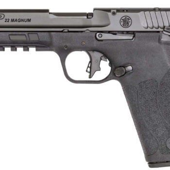 SW M&P 22MAG 4.35 10RD COMPLIANT