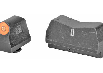 XS DXT2 BIG DOT FOR GLK SUPPR ORG