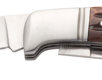 Browning 3220012 Joint Venture  2.88" Folding Drop Point/Spey Point Plain 8Cr13MoV SS Blade Brown Jigged Bone Handle