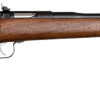 Chipmunk 00001 Youth 22 LR 1rd 16.13" Blued Steel Barrel & Receiver, American Walnut Fixed Wood Stock 2 11400