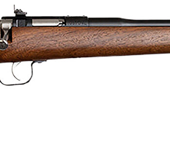 Chipmunk 00001 Youth  22 LR 1rd 16.13" Blued Steel Barrel & Receiver, American Walnut Fixed Wood Stock