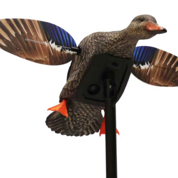 Mojo Outdoors HW24713P Elite Series Mini Hen Mallard Species, Multi Color, Plastic, Features Remote Control