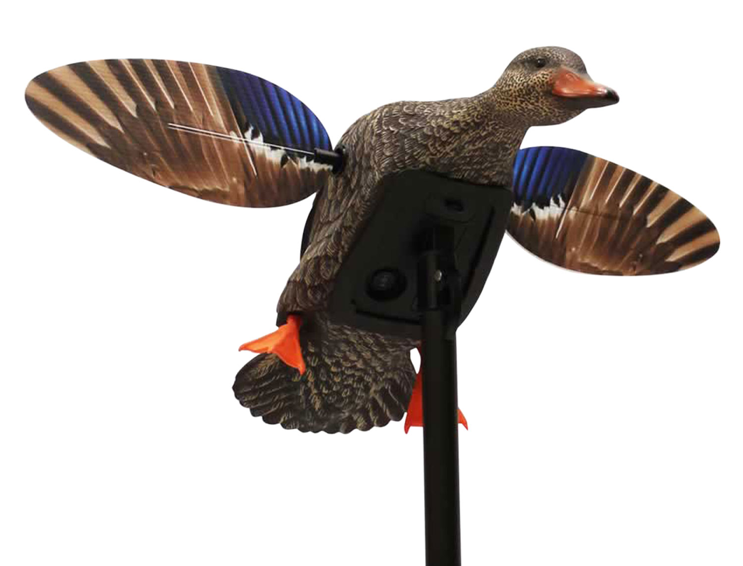 Mojo Outdoors HW24713P Elite Series Mini Hen Mallard Species, Multi Color, Plastic, Features Remote Control 3 Mojo Outdoors HW24713P Elite Series Mini Hen Mallard Species, Multi Color, Plastic, Features Remote Control