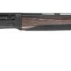 TriStar 20236 Raptor II Youth 20 Gauge Semi-Auto 3" 5+1 24" Black Vent Rib Steel Barrel, Black Steel Receiver, Fixed Walnut Synthetic Stock 2 173020