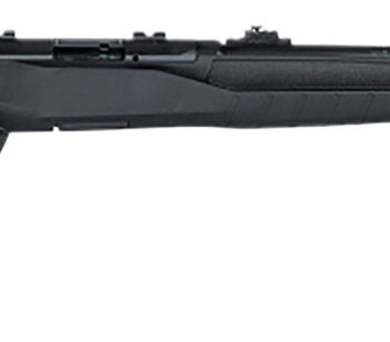 Savage Arms 70200 B Series F Full Size 22 LR 10+1 21" Matte Black Button Rifled Barrel, Matte Black Drilled & Tapped Carbon Steel Receiver, Matte Black Fixed Synthetic Stock, Right Hand