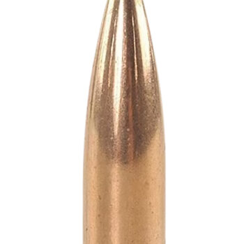 Speer 4725 TNT  30Cal 125gr Jacketed Hollow Point 500 Per Box/1 Case