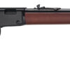 HENRY H1 CLASSIC 22LR 18.5 2 HRAC20H00122