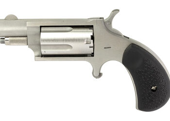 NAA MINI REV 22M 1 1/8" 5RD CBBL STN