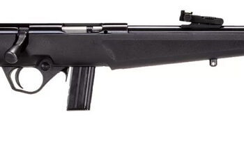 ROSSI RB 22LR 16 BLK 10RD COMPACT