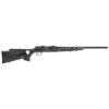 SAV A17 TARGET THUMBHOLE 17HMR 22 HVY GRAY LAMIN 1 SAV2047005