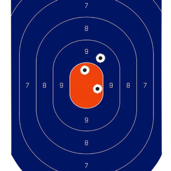 Birchwood Casey 35714 Dirty Bird Silhouette Target Silhouette Tagboard Target 12" x 18" 100 Per Pkg