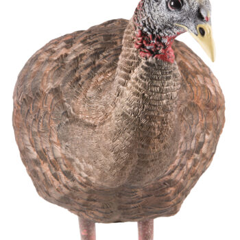 Avian X AVXAVX8008 LCD Breeder Hen Turkey Species Multi Color Dura-Rubber