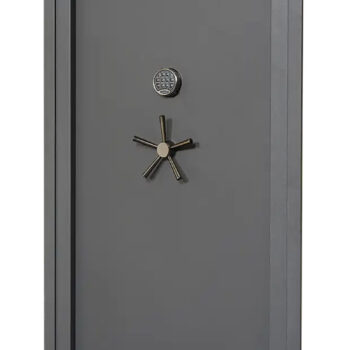 SnapSafe 75421 Vault Door Premium Dark Gray 81" High 12 Gauge Steel