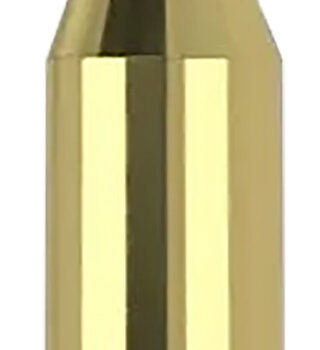 Nosler 40041   243Win 70gr Ballistic Tip Varmint 20 Per Box/10 Case