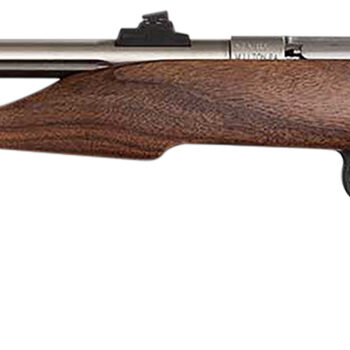 Chipmunk 40101 Hunter  Youth Frame 22 S/L/LR Single Shot 9" Threaded Stainless Steel Barrel, Walnut Frame, EZ Loader