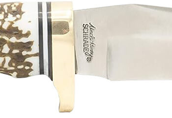 Uncle Henry 1100087 Next Gen Golden Spike 5" Fixed Plain Satin Polished Stainless Steel Blade, Brown Brass Accents Staglon Handle