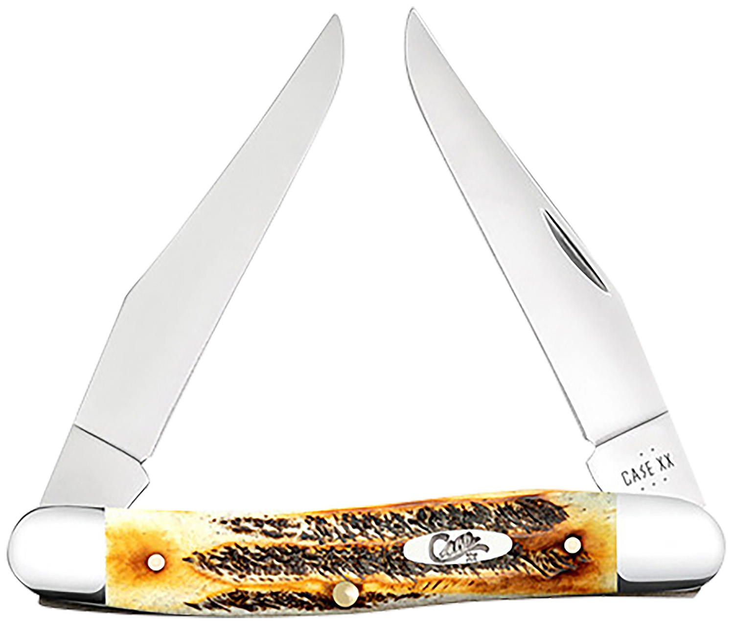 Case 65346 Muskrat 2.90" Folding Clip Point Plain Polished Tru-Sharp SS Blade, Burnt Dark Amber 6.5 BoneStag Handle 3 Case 65346 Muskrat 2.90" Folding Clip Point Plain Polished Tru-Sharp SS Blade, Burnt Dark Amber 6.5 BoneStag Handle