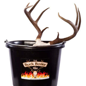 On Time 95000 Buck Boiler  All-Electric System for European Dressed Hunting Trophies