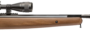 Benjamin BT1122WNP Trail XL  Nitrogen Piston 22 Pellet 1rd Black Hardwood Fixed Thumbhole Stock 3-9x40mm