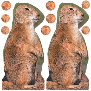 Birchwood Casey 34786 Shoot-N-C Reactive Target Self-Adhesive Paper Brown 8" Prairie Chuck 12 Pack