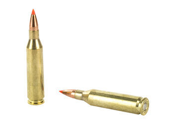 HRNDY SF 243WIN 58GR VMAX 20/200 9 H8343 4