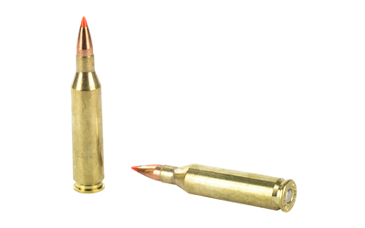 HRNDY SF 243WIN 58GR VMAX 20/200 6 HRNDY SF 243WIN 58GR VMAX 20/200 - Image 4