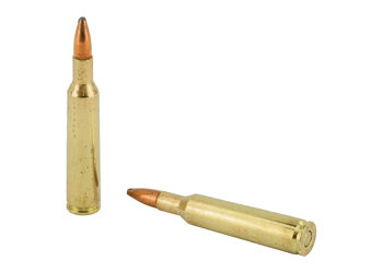 REM 6MM REM 100GR PSP CL 20/200 9 REM29051 4