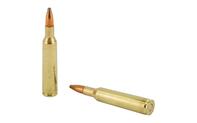 REM 6MM REM 100GR PSP CL 20/200 6 REM 6MM REM 100GR PSP CL 20/200 - Image 4