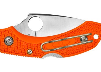 Alternative view of SPYDERCO DRAGONFLY2 ORANGE FRN PLN