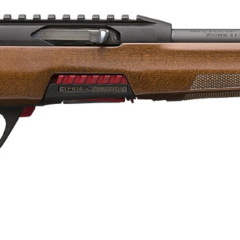 WIN WILDCAT SPORTER 22LR 18 S 10RD