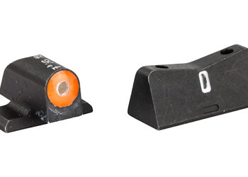 XS DXT2 BIG DOT SIG P226/P320/XD ORG