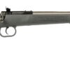 KEYSTONE SPORTING ARMS CRICKETT 22LR SS/GRY 1 ksa24487d1c