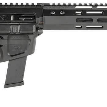 Wilson Combat TRAR9GB91610 AR9G Carbine 9mm Luger 17+1 16" Black Match Grade Threaded Barrel, Black Armor-Tuff Aluminum Receiver, M-LOK Handguard, Black Synthetic Rogers Super-Stoc w/Cam-Lock Stock