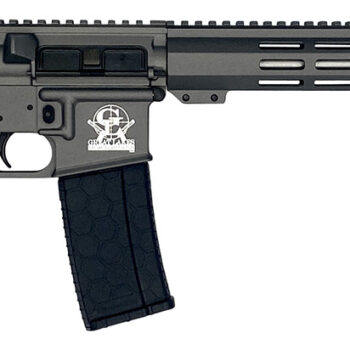 Great Lakes Firearms GL15223SSTNG AR-15  223 Wylde 16" Stainless 30+1, Tungsten Rec, Black Stock & Grip