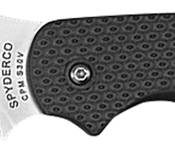 Spyderco C123PBK Sage 5 Lightweight Alzheimer's 3" Folding Plain Satin CPM S30V SS Blade, Black Textured FRN Handle