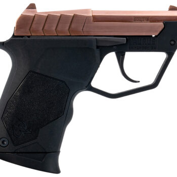 Taurus 1-22TUC13RG 22TUC  Micro-Compact Frame 22 LR 9+1 2.50" Polished Rose Gold PVD Steel Tip-Up Barrel, Rose Gold PVD Serrated Stainless Steel Slide, Black Polymer Frame, Black Polymer Grip