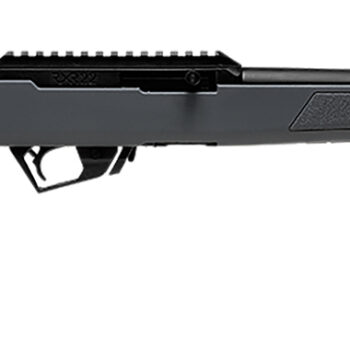 Savage Arms 19777 RXR  22 LR 10+1 16.50" Military Gray