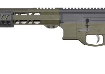 BILSON ARFCS4920R1 BA15FC  556   16 20R SNPGRN/GRY