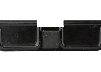 Alternative view of BAD DUST COVER - 2ND AMMENDMENT