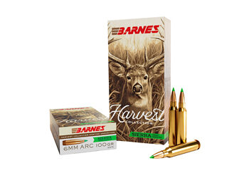 BARNES HARV ST 6MM ARC 100GR 20/200