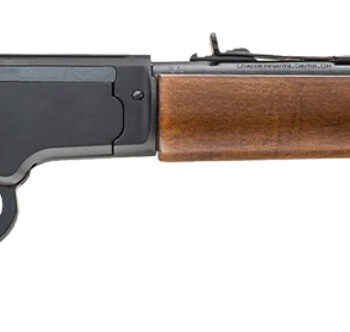 CHIAPPA LA322 LA BANDIT TAKE DOWN 22LR 12 WOOD