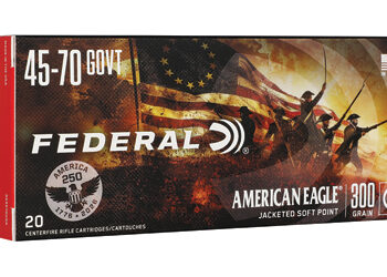 Alternative view of FED 250TH ANV 45-70GOVT 300GR SP