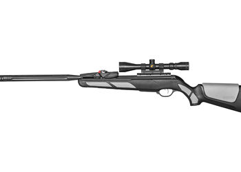 GAMO SWARM VIPER 10X GEN3I INRTIA 22