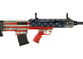 Alternative view of TOKAREV TBP 12GA 18.5" AF 5RD